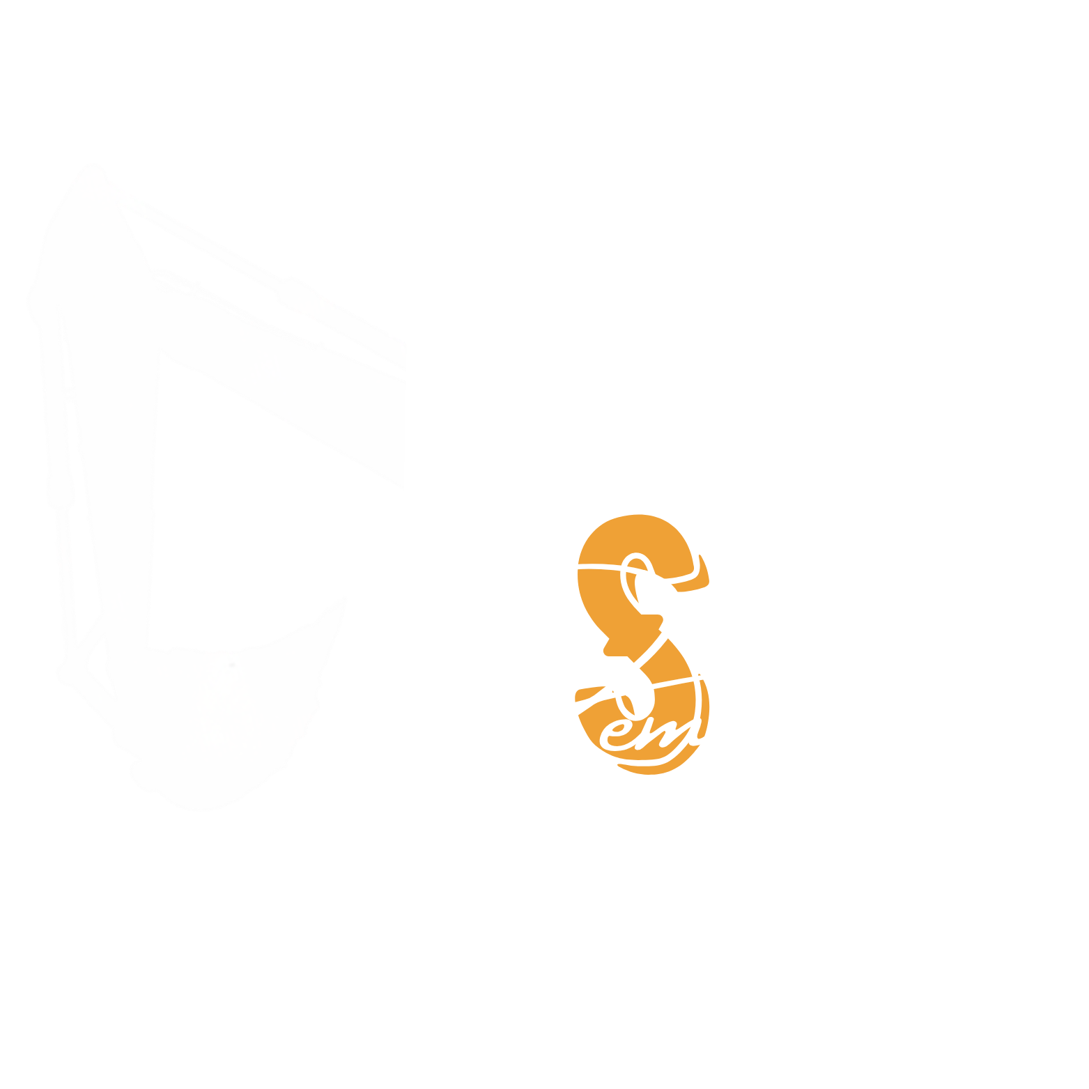 DS Demolition logo